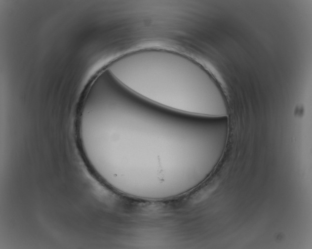 X0000093530991200710121145