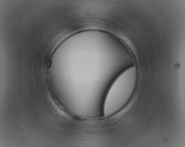 X0000093530993200710121145