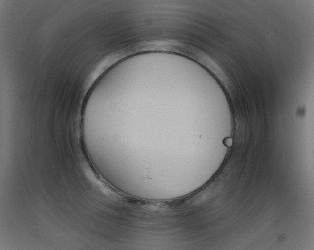 X0000093530994200710121145