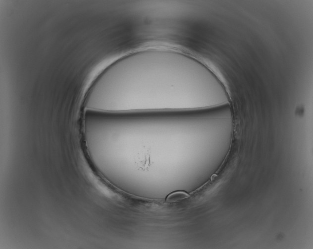 X0000093530995200710121145