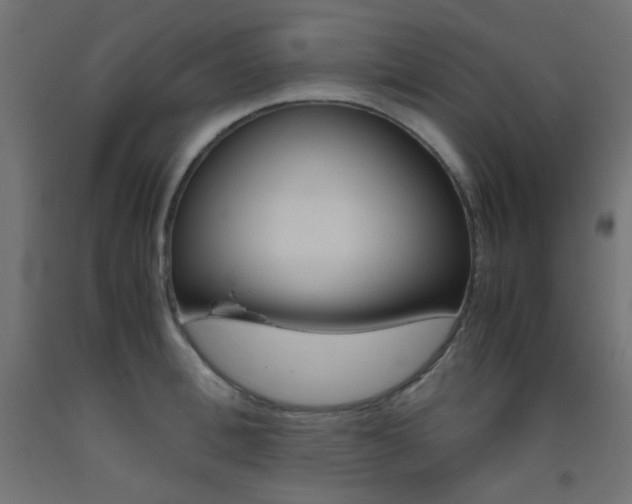 X0000093530996200710121145