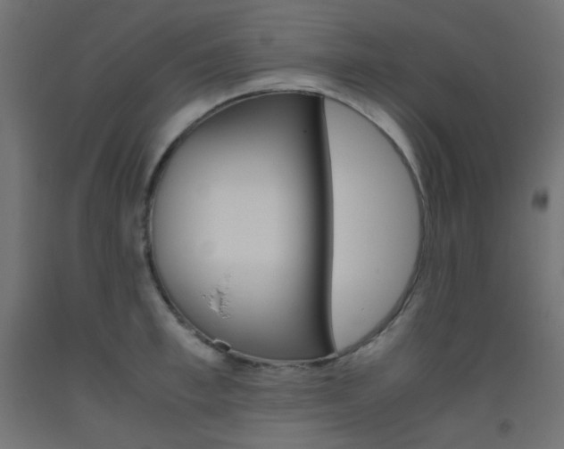 X0000093530997200710121145