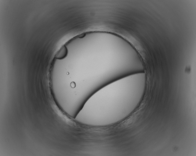 X0000093530998200710121145