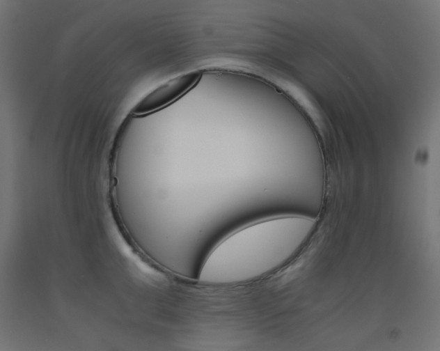 X0000093530999200710121145