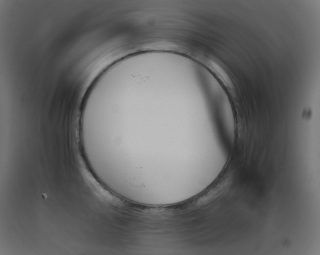 X0000093531000200710121145