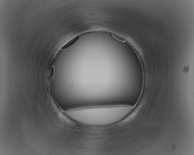 X0000093531001200710121145