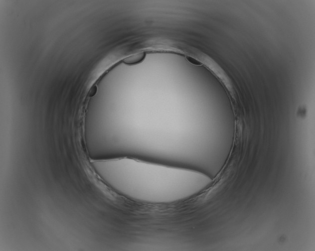 X0000093531002200710121145