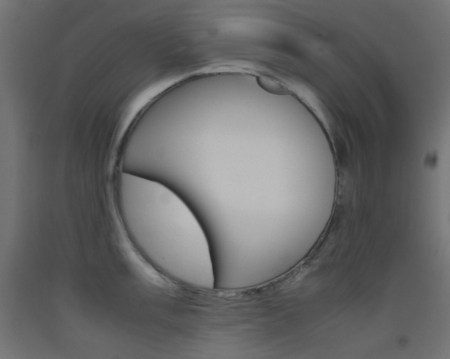 X0000093531003200710121145