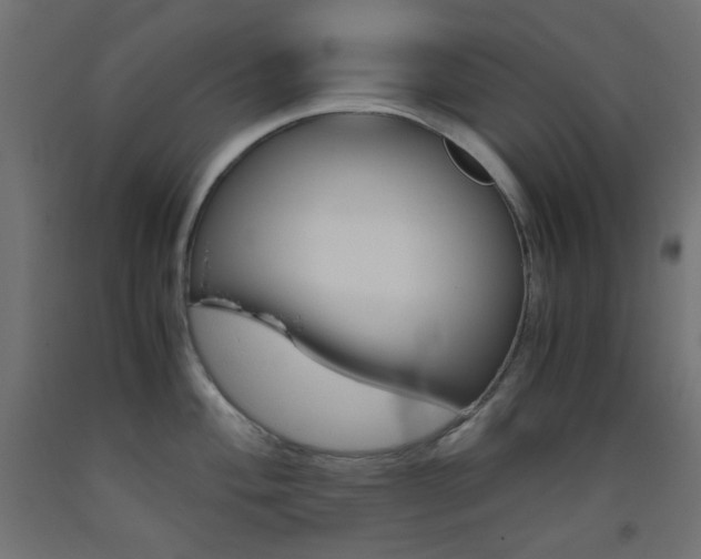 X0000093531004200710121145