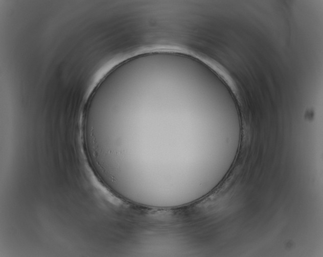 X0000093531006200710121145