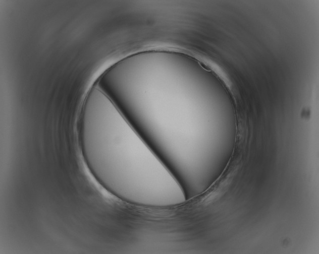 X0000093531007200710121145