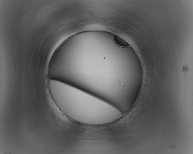 X0000093531008200710121145
