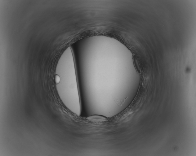 X0000093531010200710121144