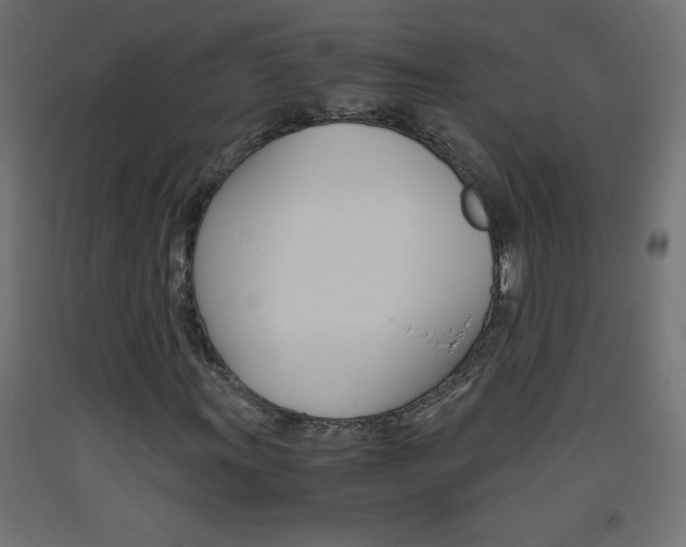 X0000093531011200710121144