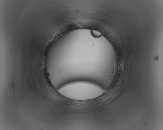 X0000093531012200710121144