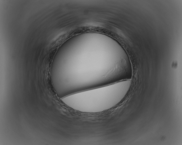 X0000093531014200710121145