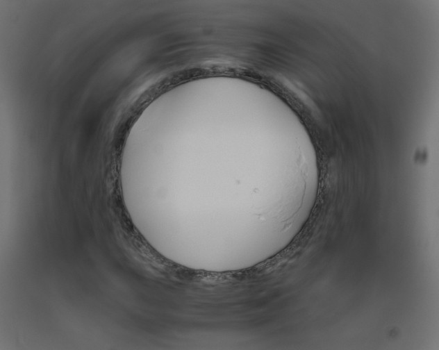 X0000093531015200710121145