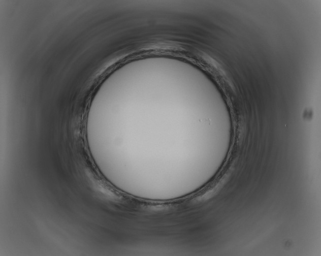 X0000093531017200710121145