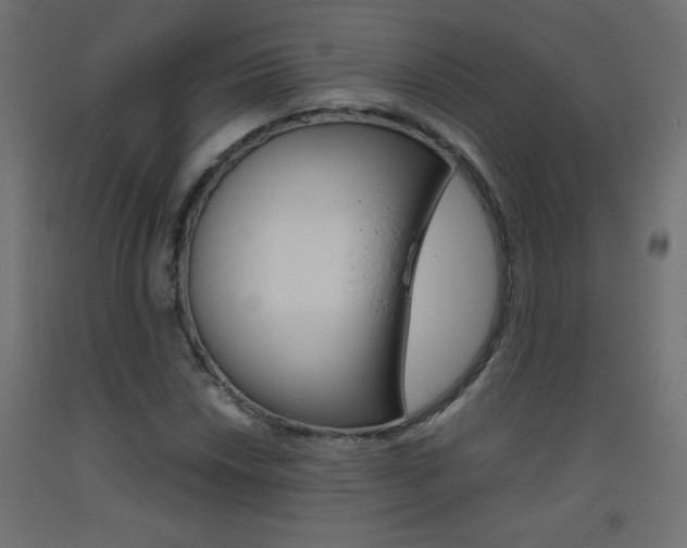 X0000093531018200710121145