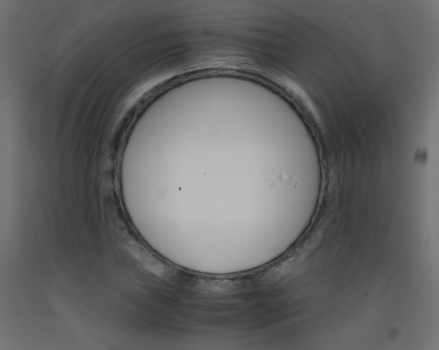 X0000093531019200710121145