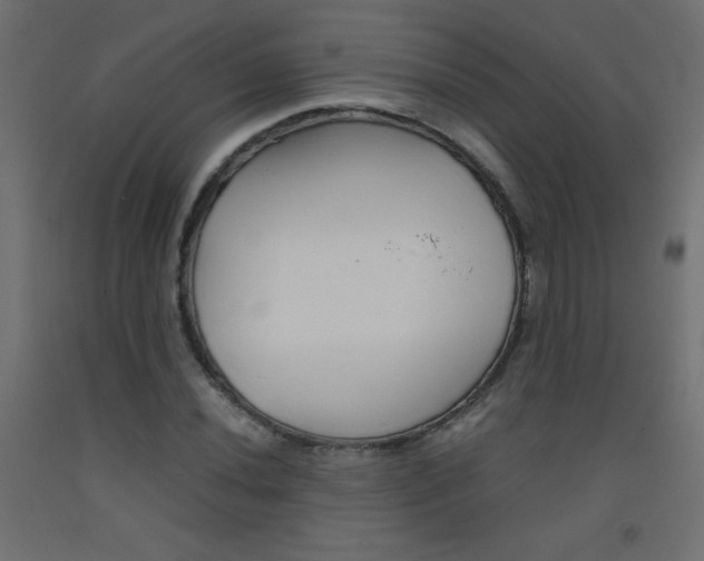 X0000093531020200710121145