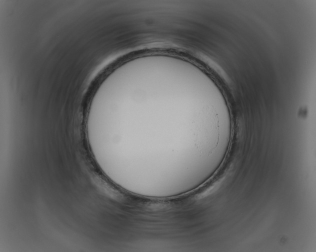 X0000093531021200710121145