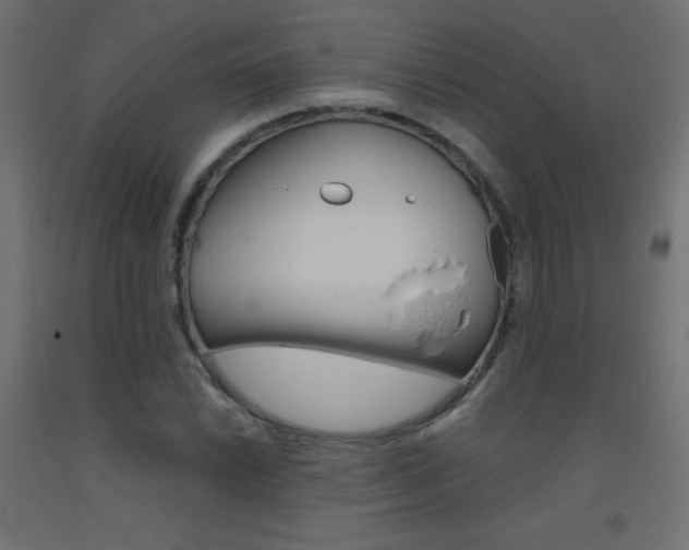 X0000093531022200710121145