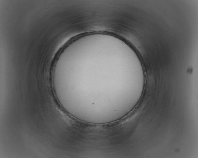 X0000093531023200710121145