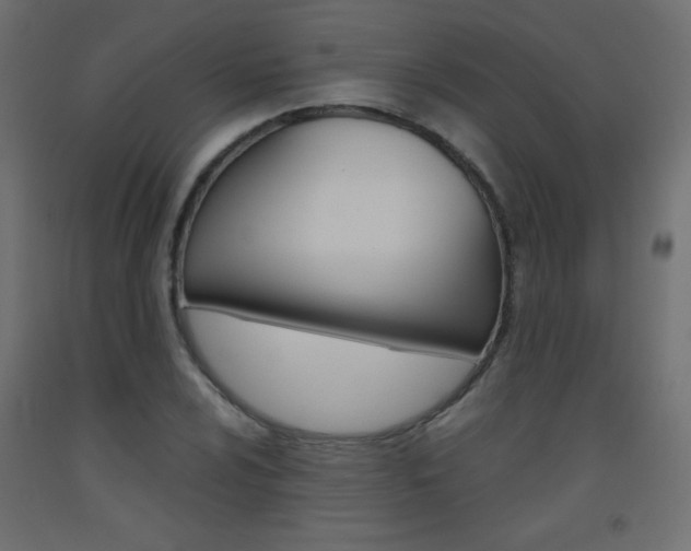 X0000093531024200710121145