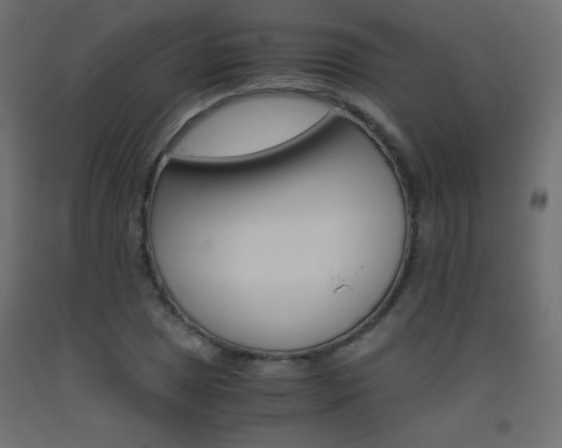 X0000093531025200710121145
