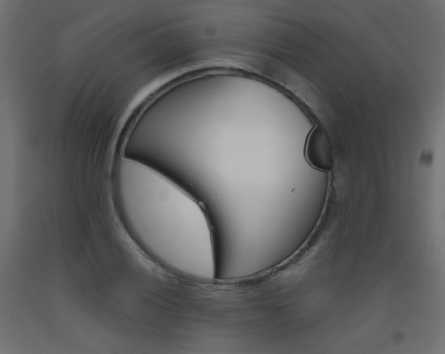 X0000093531028200710121145