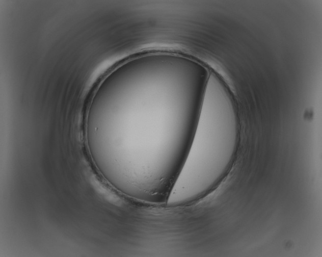 X0000093531030200710121145