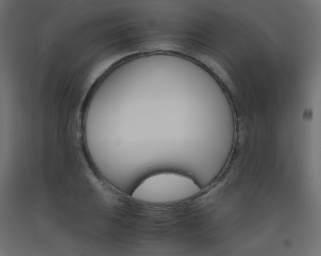 X0000093531031200710121145