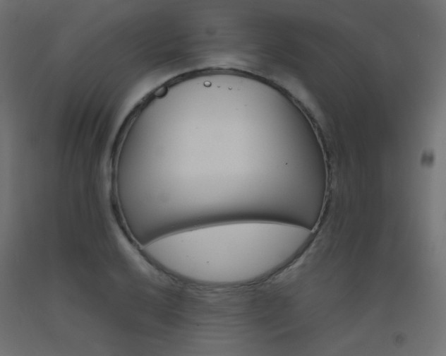 X0000093531032200710121145