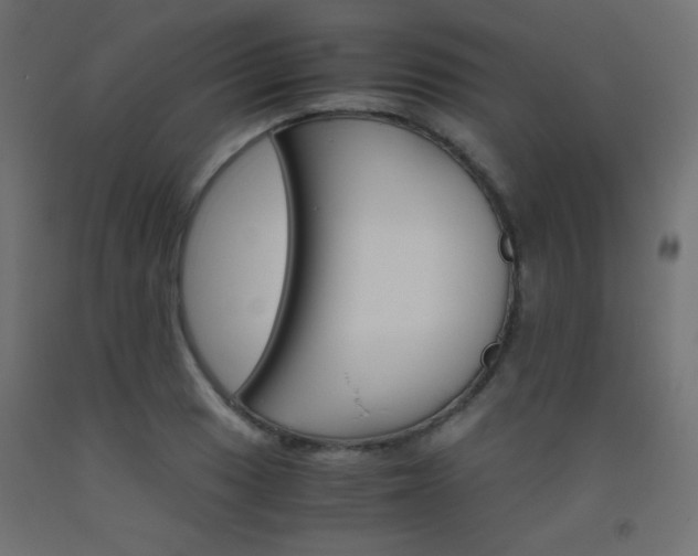 X0000093531033200710121145