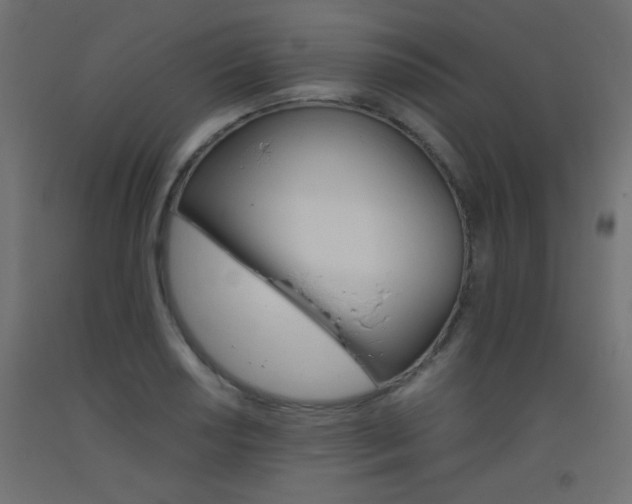 X0000093531034200710121145