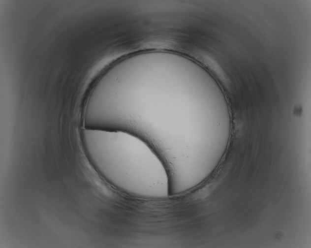 X0000093531035200710121145