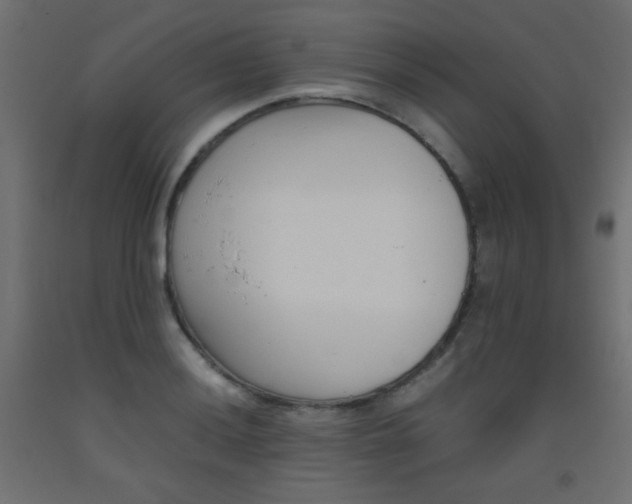 X0000093531036200710121145