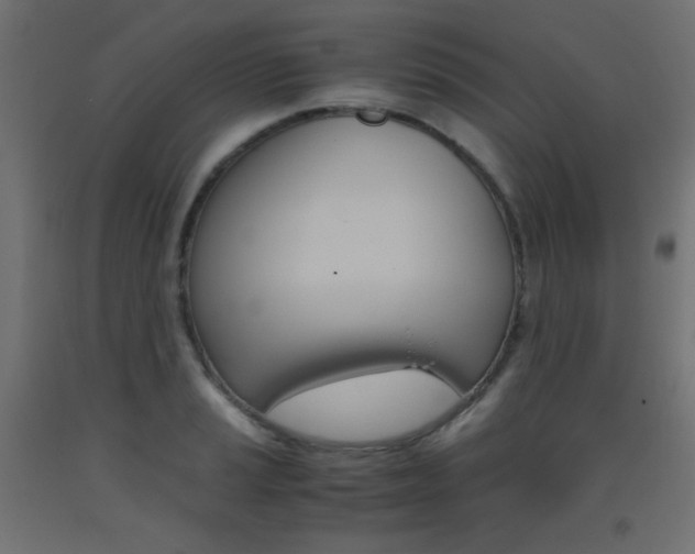X0000093531037200710121145