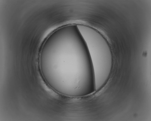 X0000093531038200710121145