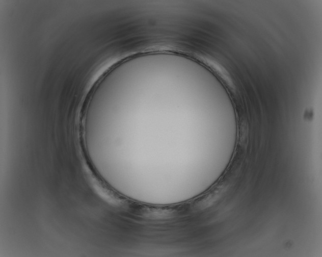 X0000093531039200710121145