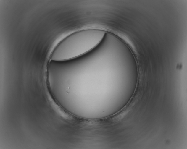 X0000093531040200710121145