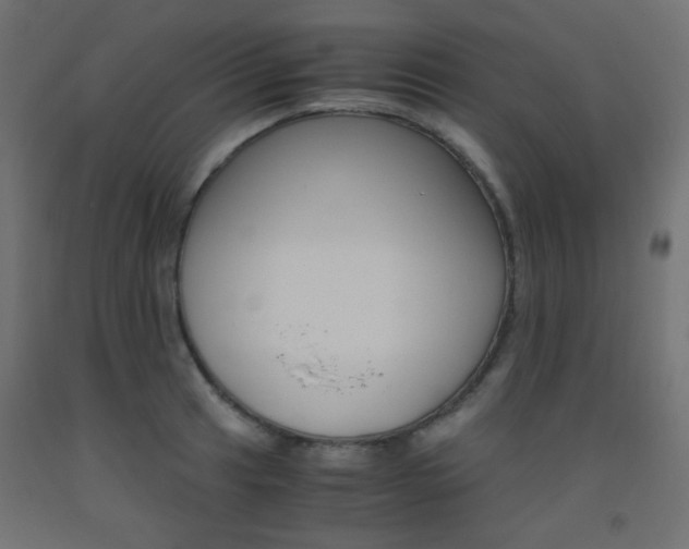 X0000093531041200710121145