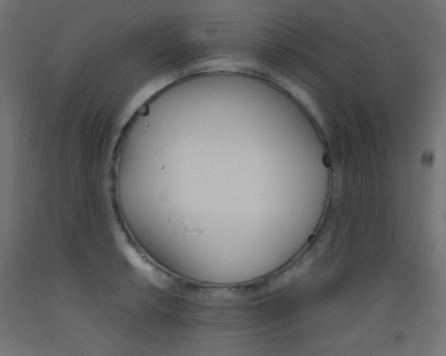 X0000093531042200710121145