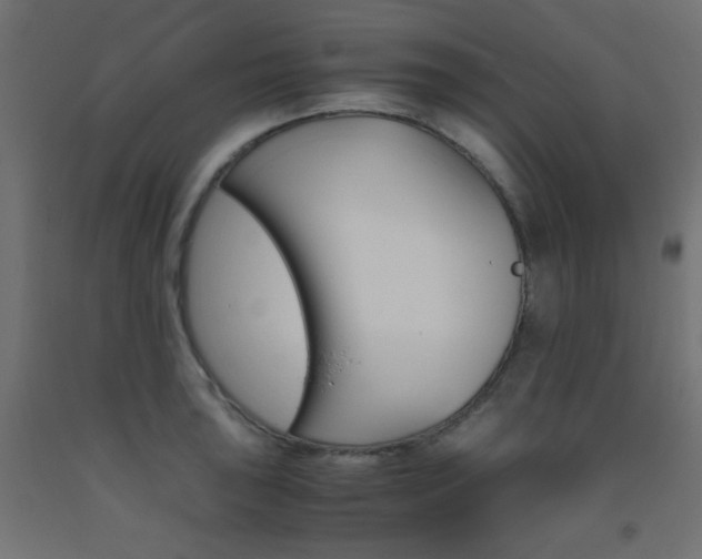 X0000093531043200710121145