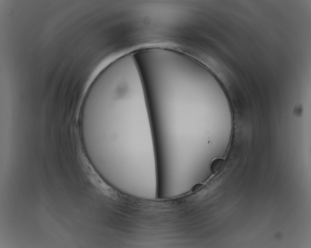 X0000093531044200710121145