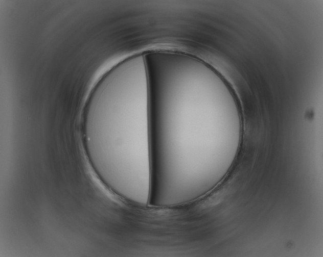 X0000093531045200710121145