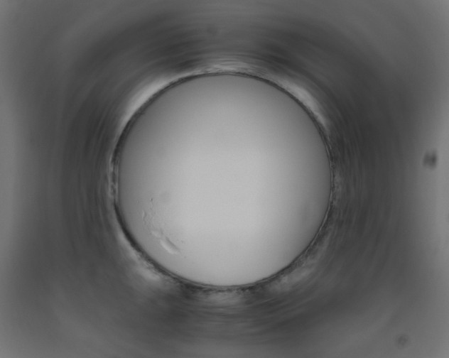 X0000093531047200710121145