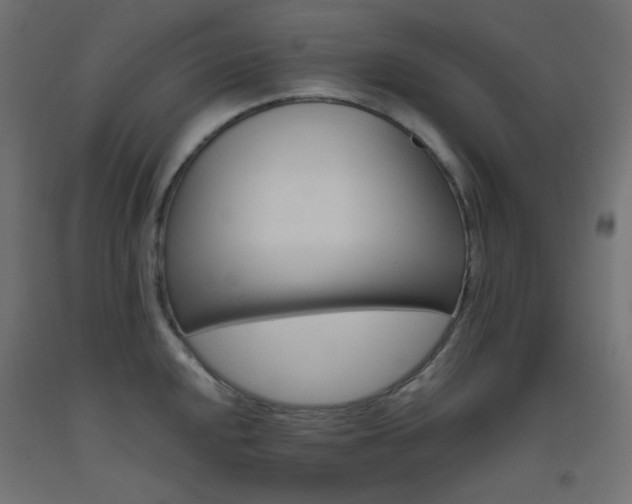 X0000093531048200710121145