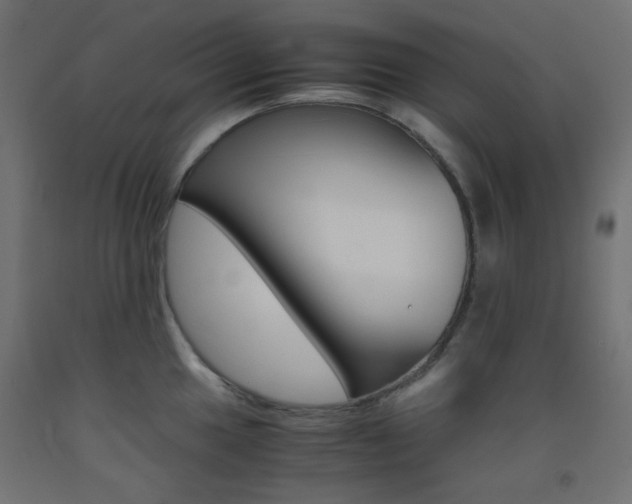 X0000093531049200710121145